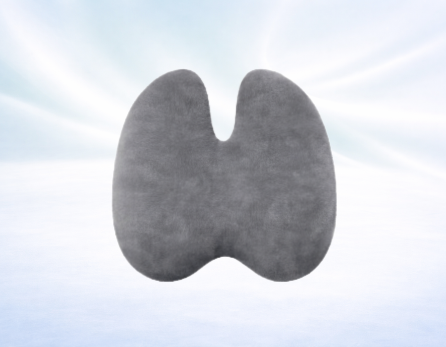 Ortho Lumbar Back Support Cushion BSM-03